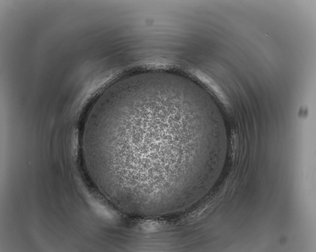 X0000094380494200711091604
