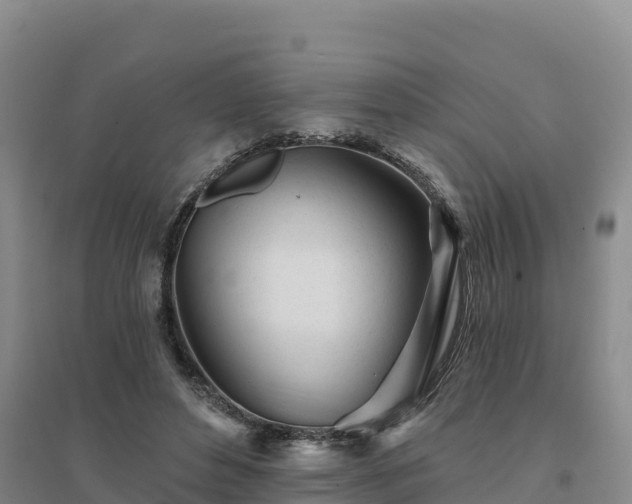 X0000094380496200711091604