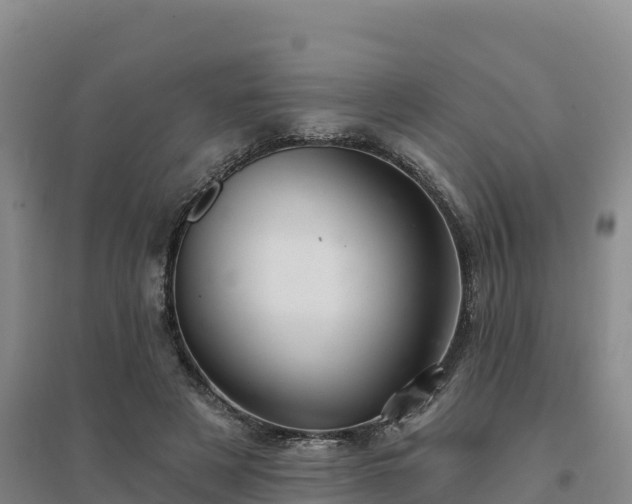 X0000094380497200711091604