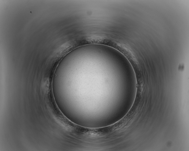 X0000094380498200711091604