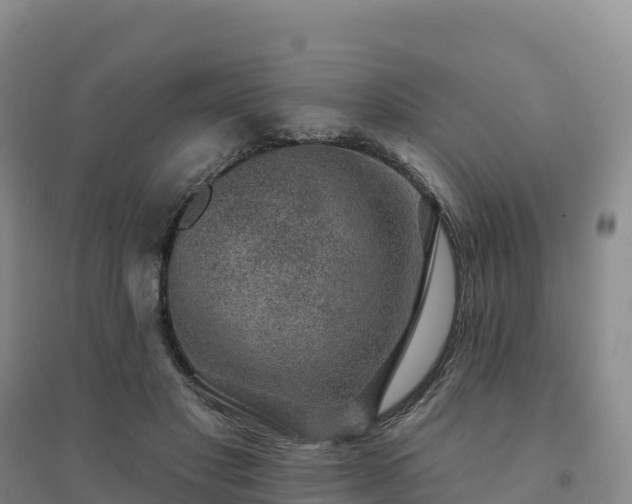 X0000094380501200711091604