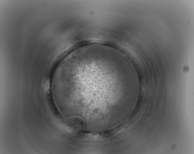 X0000094380502200711091604