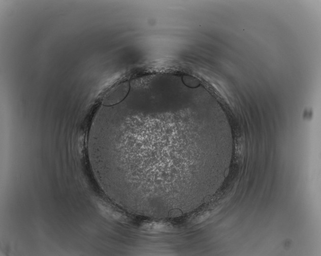 X0000094380503200711091604