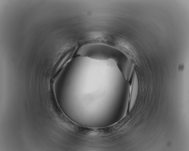 X0000094380504200711091604