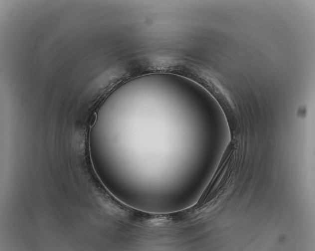 X0000094380505200711091604