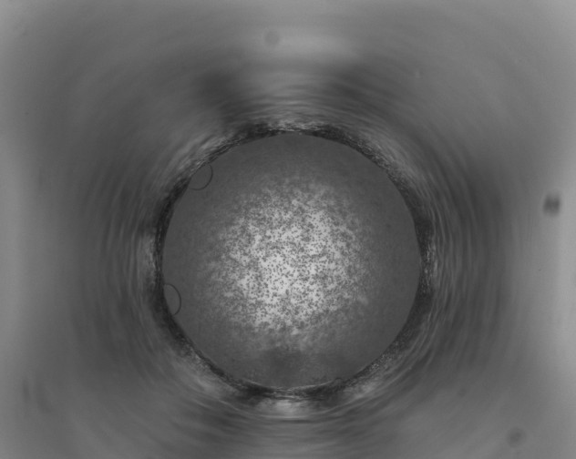 X0000094380506200711091604