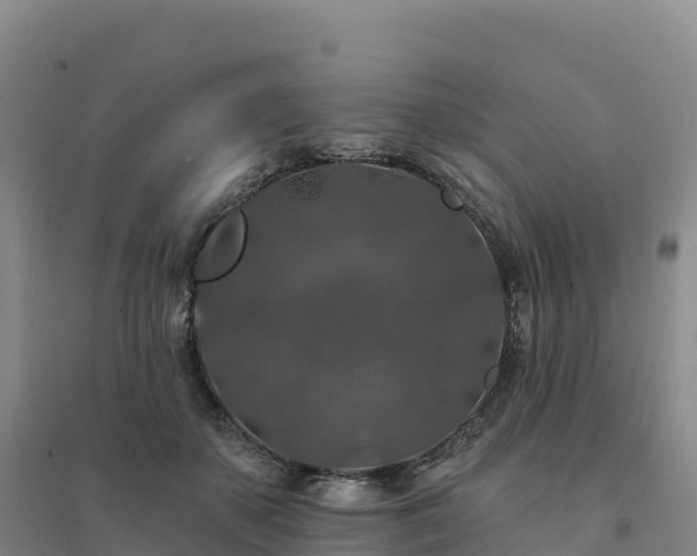 X0000094380507200711091604