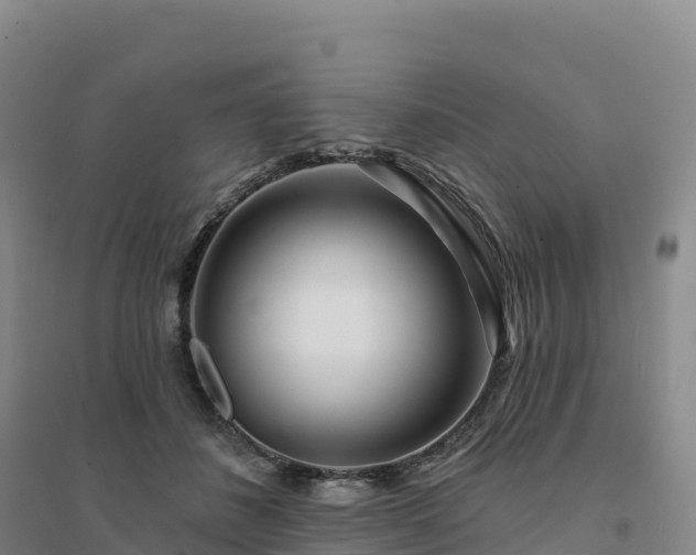 X0000094380508200711091604