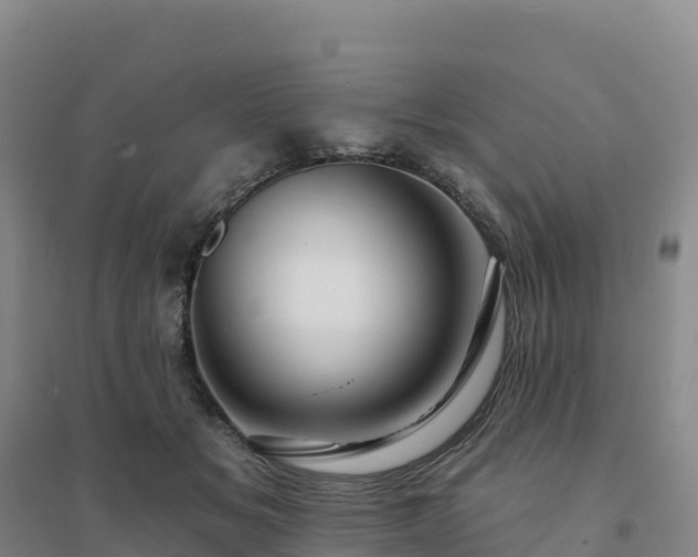 X0000094380509200711091604