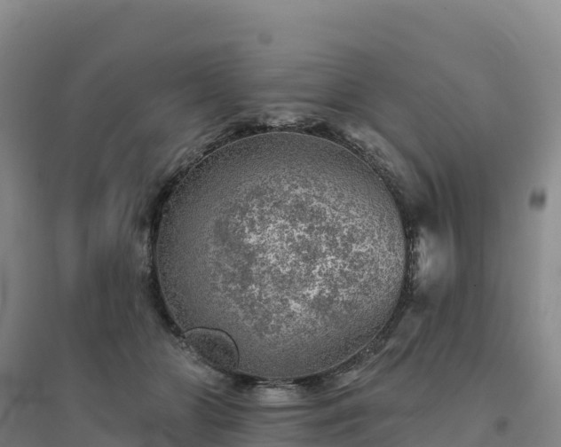 X0000094380510200711091604