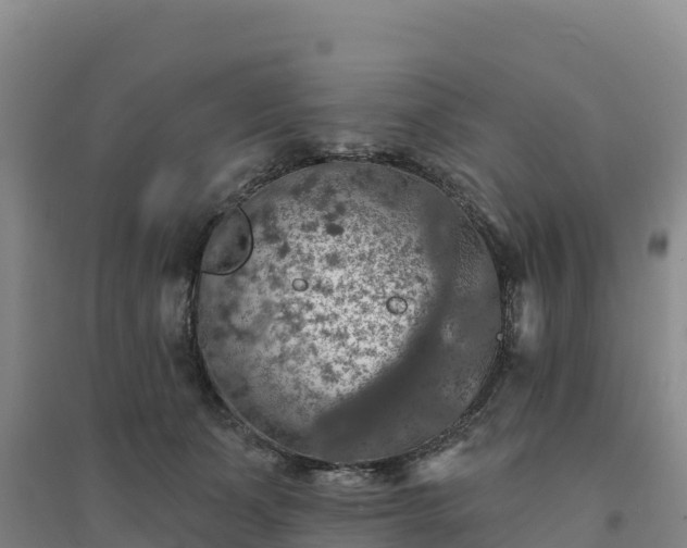 X0000094380511200711091604