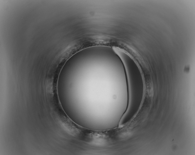 X0000094380512200711091604