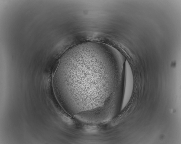 X0000094380513200711091604