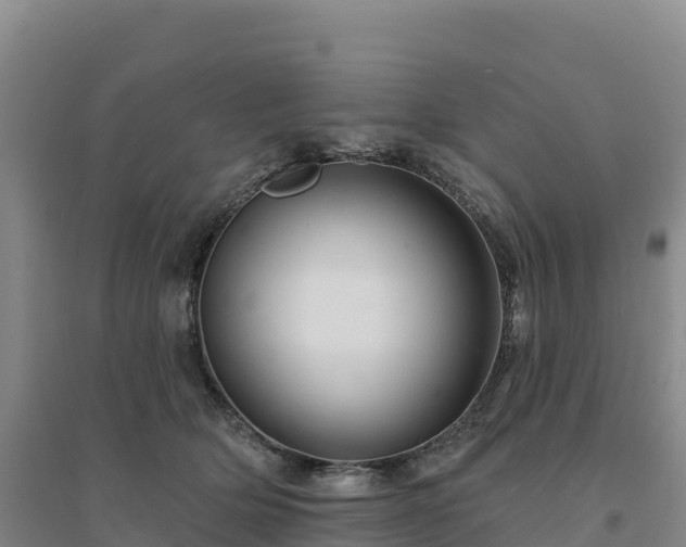 X0000094380514200711091604