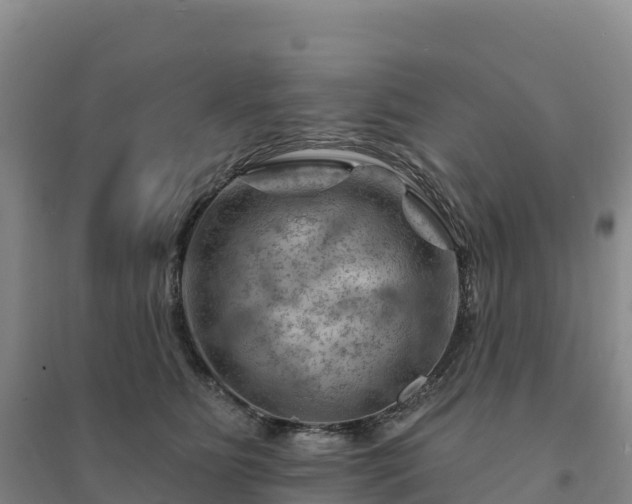 X0000094380515200711091604