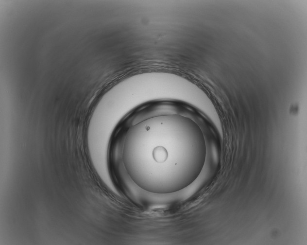 X0000094380516200711091604