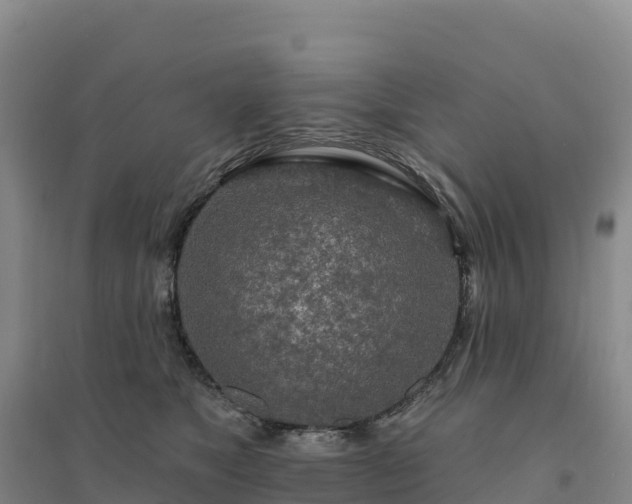 X0000094380517200711091604
