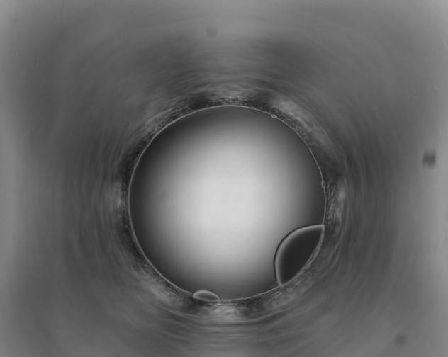 X0000094380518200711091604