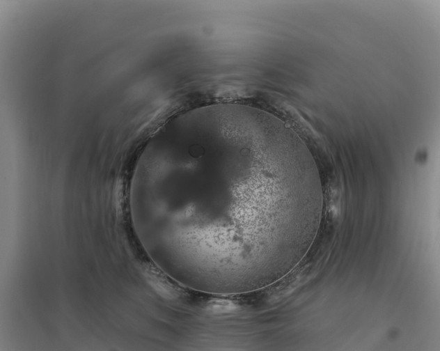 X0000094380519200711091604