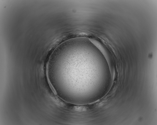 X0000094380520200711091604