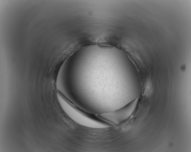 X0000094380521200711091604