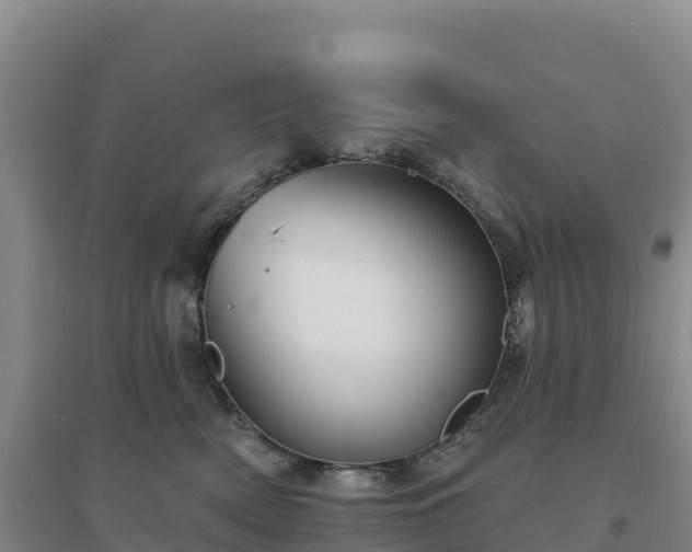 X0000094380522200711091604
