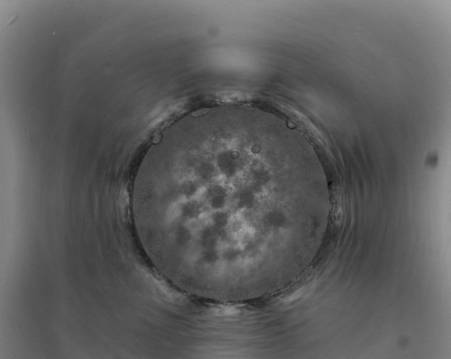 X0000094380523200711091604