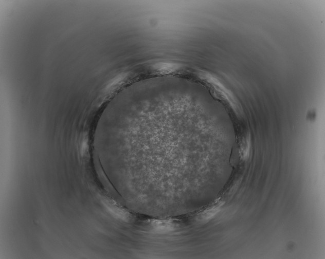 X0000094380524200711091604