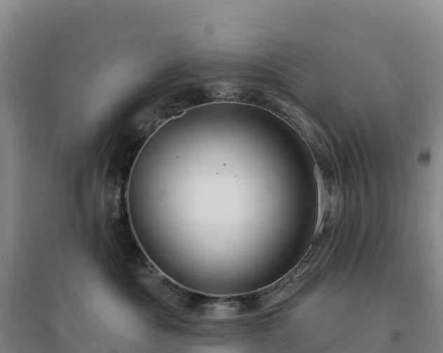 X0000094380525200711091604