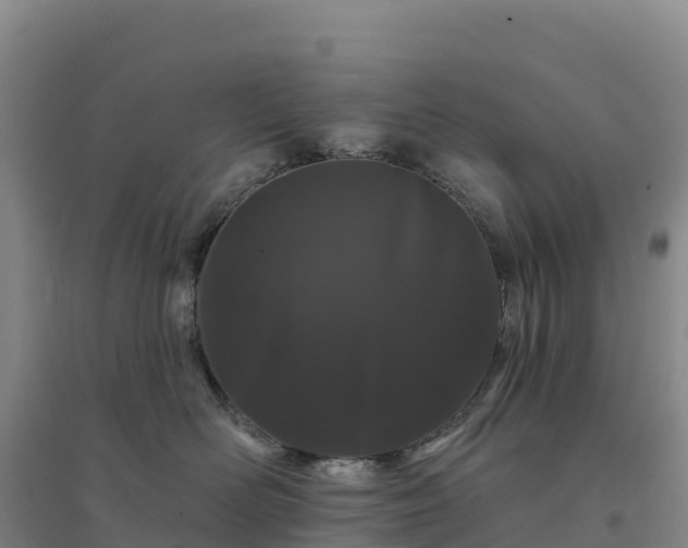X0000094380526200711091604