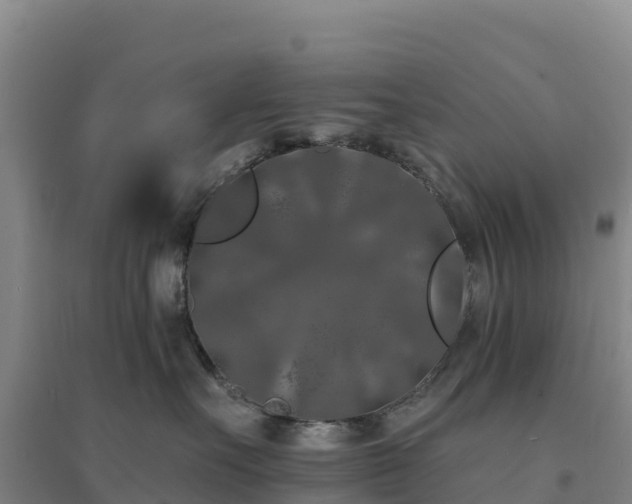 X0000094380527200711091604