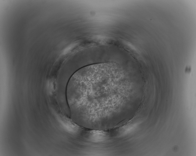 X0000094380528200711091604
