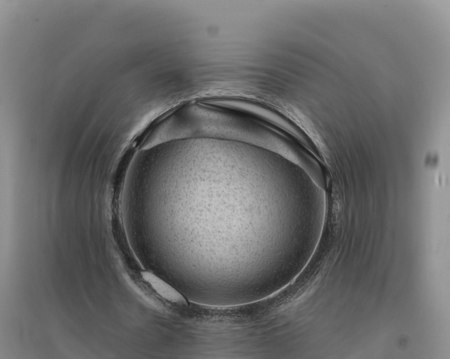 X0000094380530200711091603