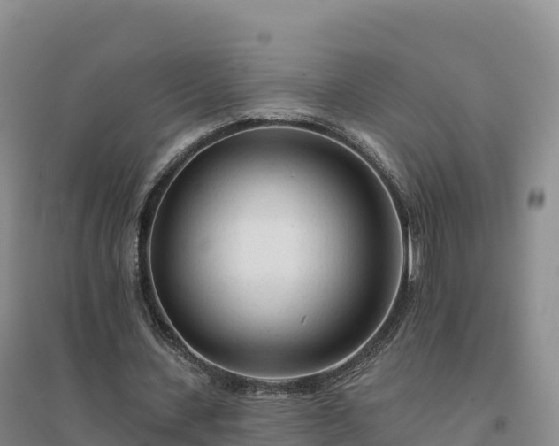 X0000094380531200711091603