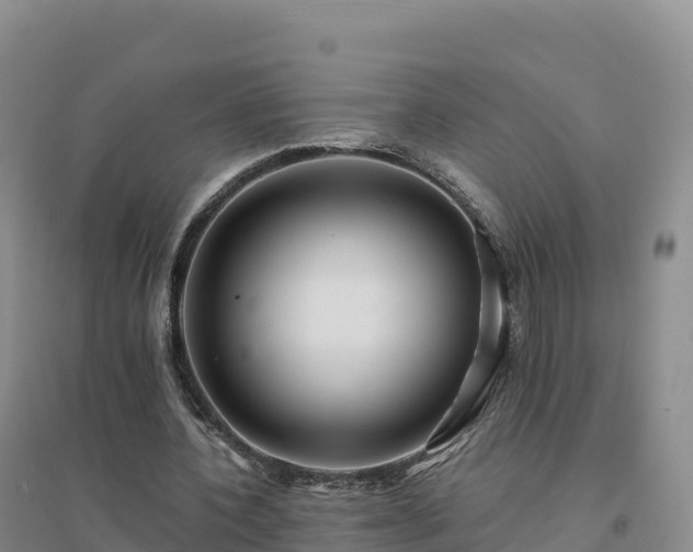 X0000094380532200711091603
