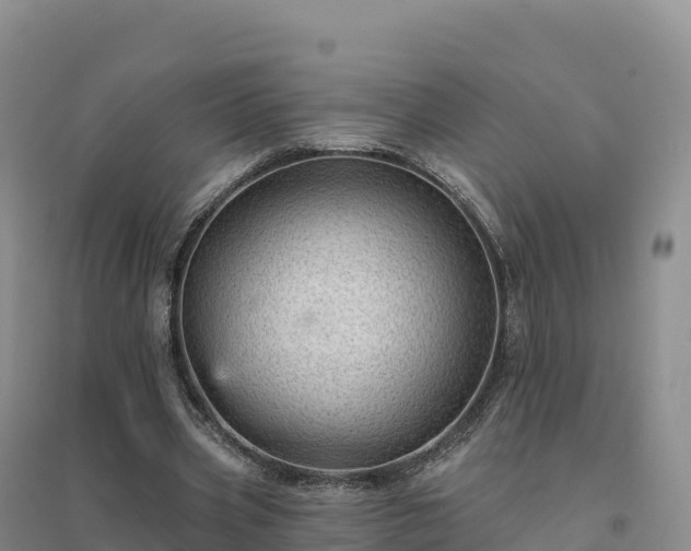 X0000094380533200711091603