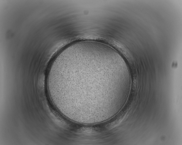 X0000094380534200711091603