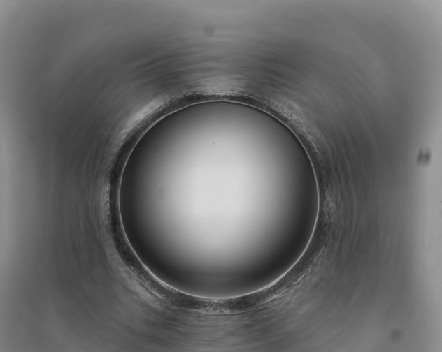 X0000094380535200711091603