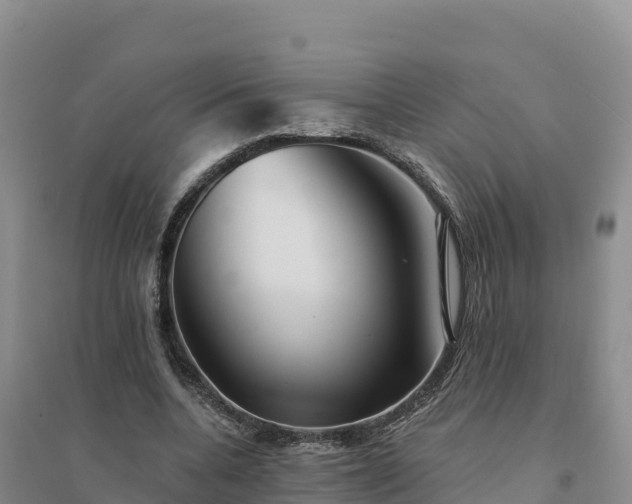 X0000094380536200711091603
