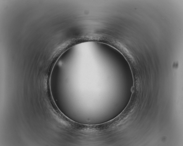 X0000094380537200711091603