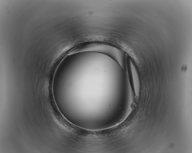 X0000094380538200711091603