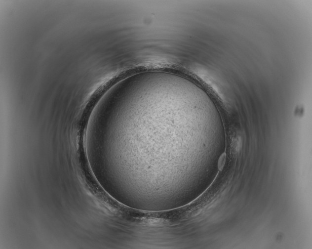 X0000094380539200711091603