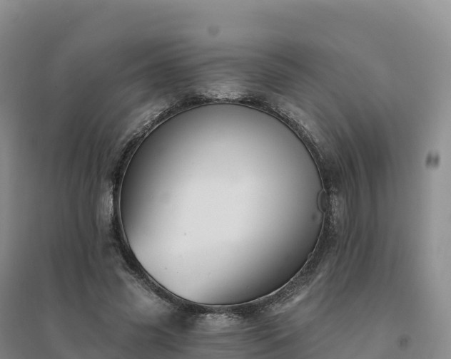 X0000094380541200711091603