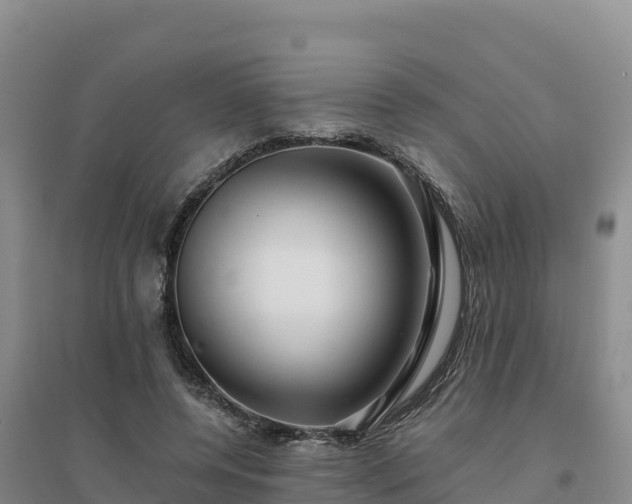 X0000094380544200711091603