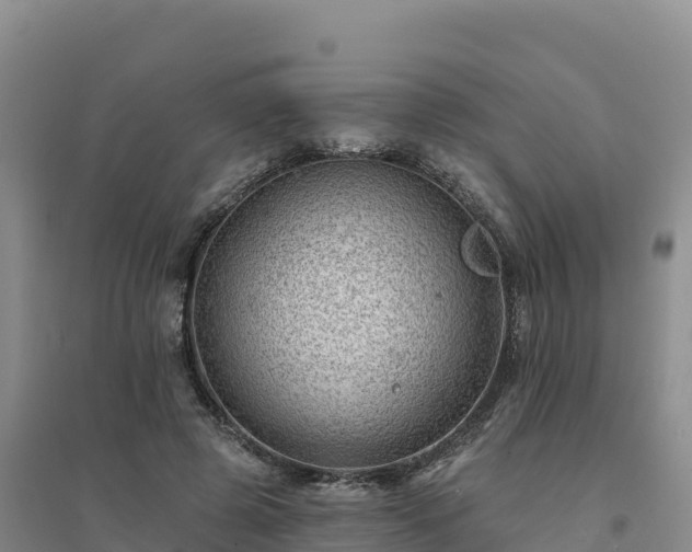 X0000094380545200711091603