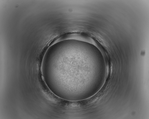 X0000094380546200711091603