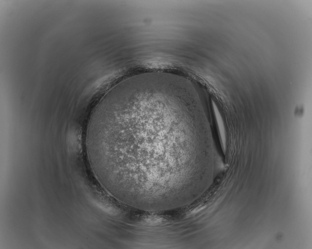 X0000094380547200711091603