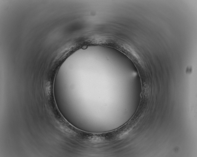 X0000094380549200711091603