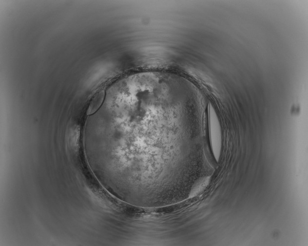 X0000094380550200711091603