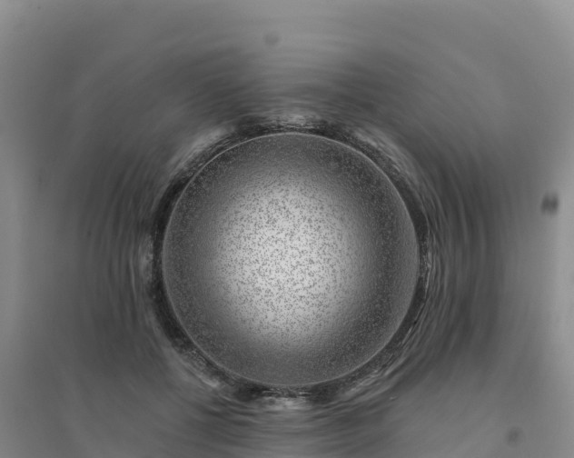 X0000094380552200711091603